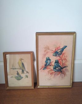 lot-cadres-oiseaux-1