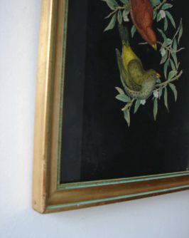 cadre-oiseaux-3