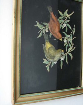 cadre-oiseaux-4
