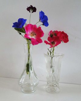 dsc08789